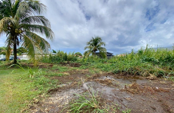 Vente Terrain 500m² Capesterre Belle Eau