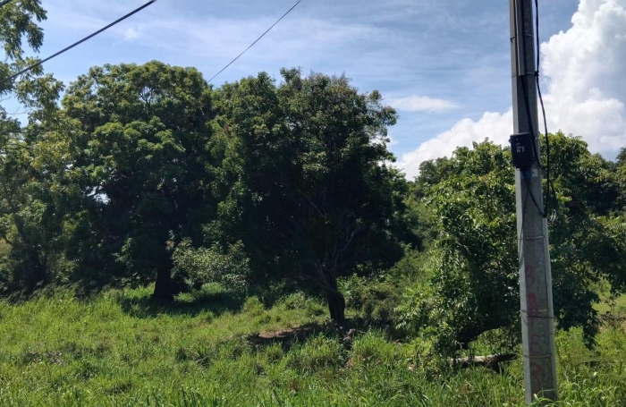 Vente Terrain 4268m&sup2; Pointe-Noire