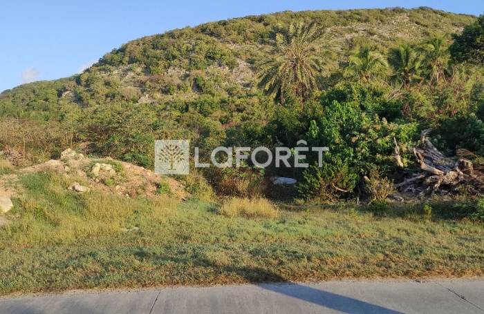 Vente Terrain 2130m² La Désirade