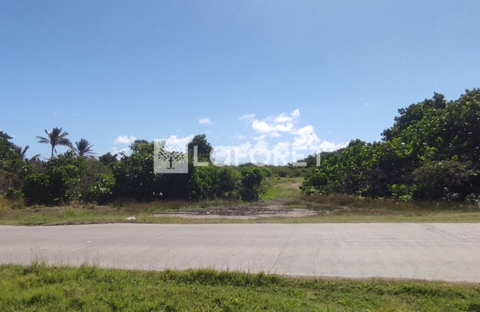 Vente Terrain 2130m² La Désirade