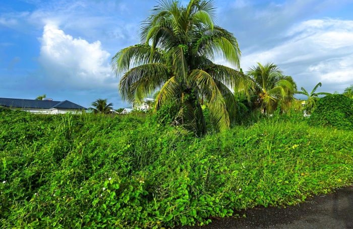 Vente Terrain 500m² Capesterre Belle Eau