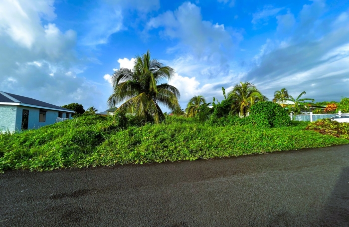 Vente Terrain 500m² Capesterre Belle Eau