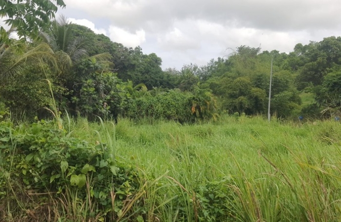 Vente Terrain 669m&sup2; Sainte Anne