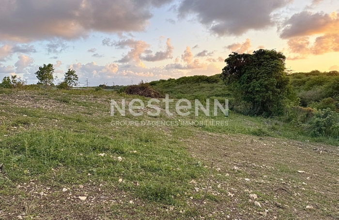 Vente Terrain 779.42m² Sainte Anne