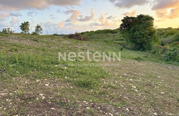 Vente Terrain 779.42m² Sainte Anne