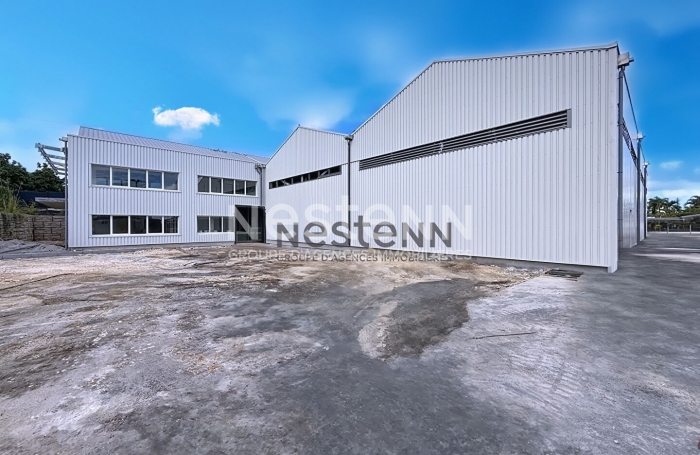 Location Local commercial 391m² Baie Mahault