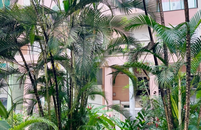 Vente Appartement 85m&sup2; 3 pi&#232;ces Pointe-à-Pitre