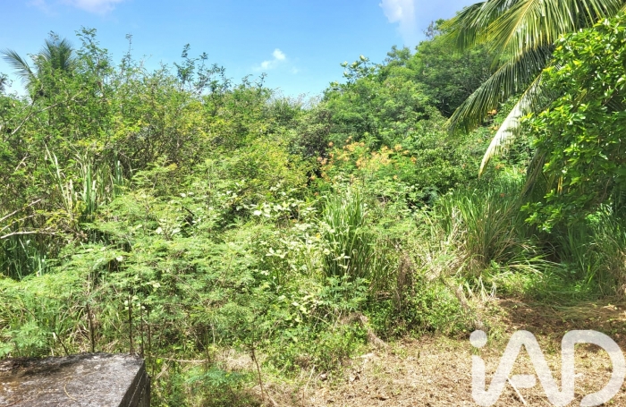 Vente Maison 65m&sup2; 4 pi&#232;ces Port-Louis