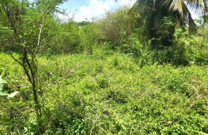 Vente Maison 65m&sup2; 4 pi&#232;ces Port-Louis