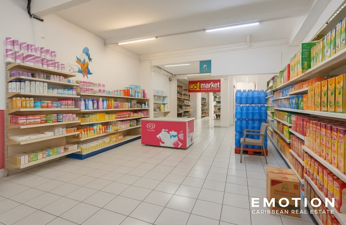 IMMEUBLE DE RAPPORT - POINTE-À-PITRE