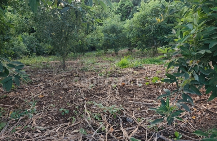 Vente Terrain 1043m&sup2; Baillif