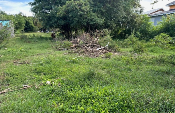 Vente Terrain 540m&sup2; Anse-Bertrand