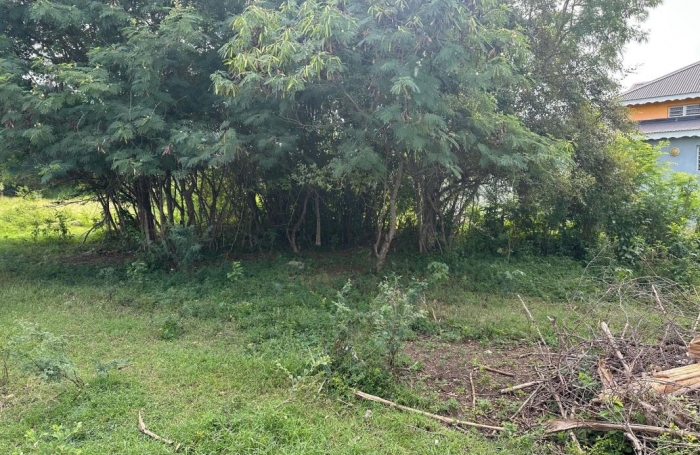 Vente Terrain 540m&sup2; Anse-Bertrand