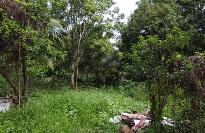 TERRAIN SECTEUR RICHER SAINTE ANNE