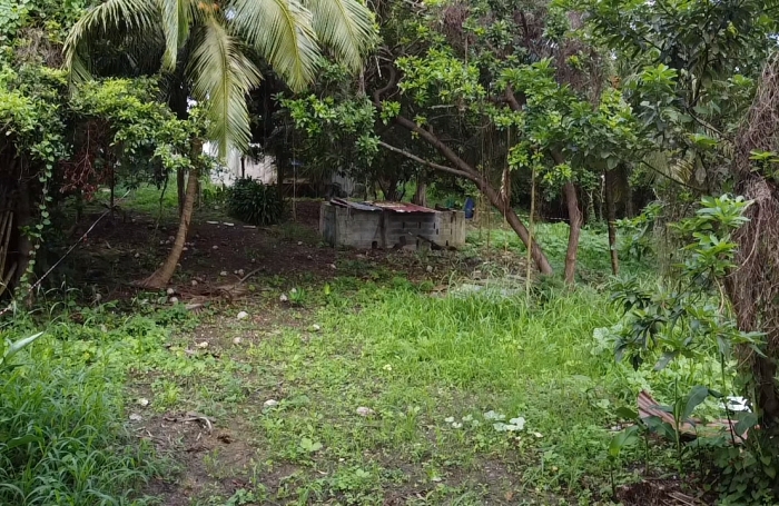 TERRAIN SECTEUR RICHER SAINTE ANNE