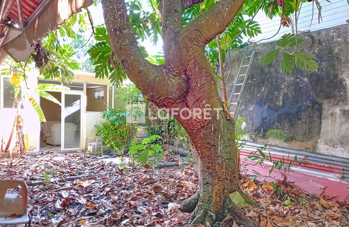 Vente Maison 280m² 2 pièces Port-Louis