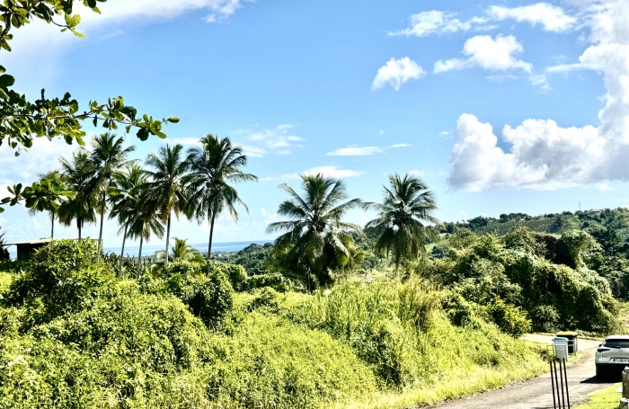 Goyave : terrain &agrave; vendre avec Longfort Immobilier