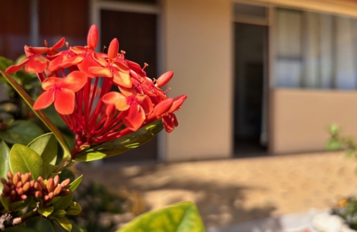 Trois pi&egrave;ces &agrave; deux pas de la plage du Souffleur ! Longfort Immobilier