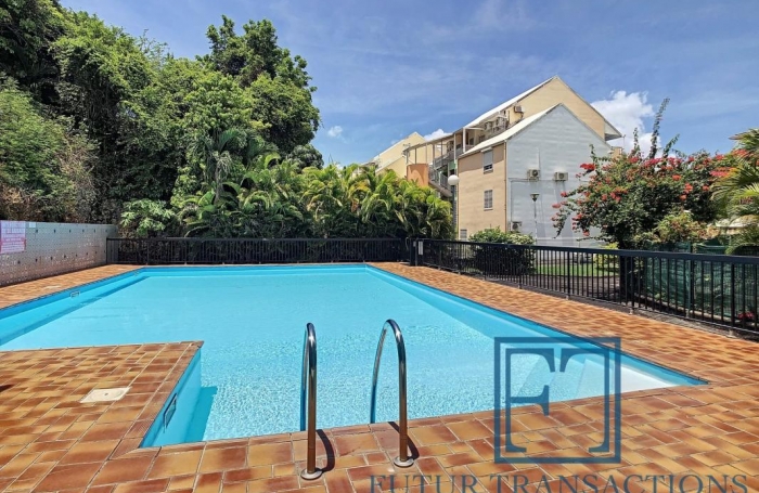 Vente Appartement 97190