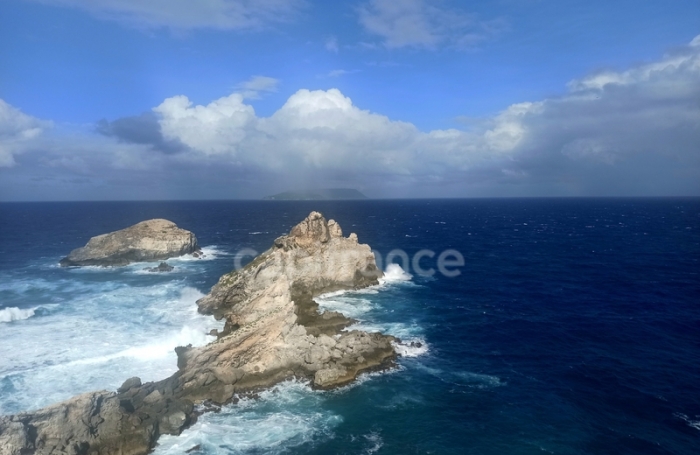 Vente Fonds de commerce 97118