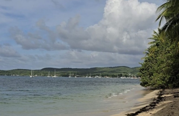 Vente Appartement 26m&sup2; 1 pièce Saint Louis