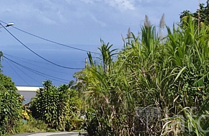 Vente Terrain 1056m&sup2; Capesterre Belle Eau