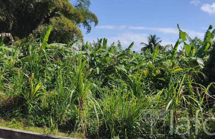 Vente Terrain 1056m&sup2; Capesterre Belle Eau