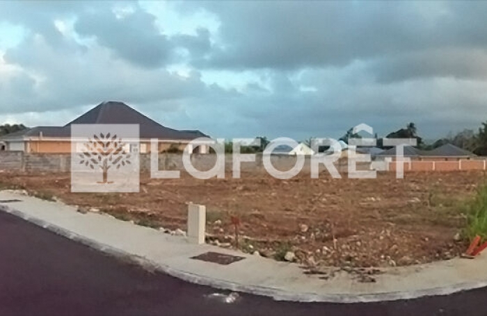 Vente Terrain 801m&sup2; Baie Mahault