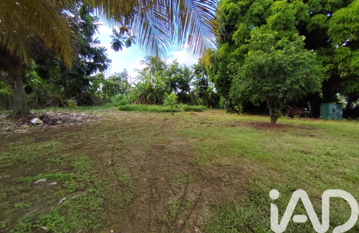 Vente Terrain 97115