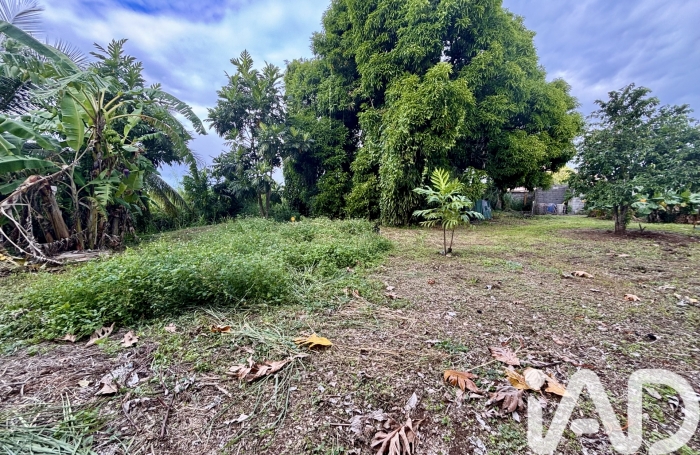 Vente Terrain 400m&sup2; Sainte Rose