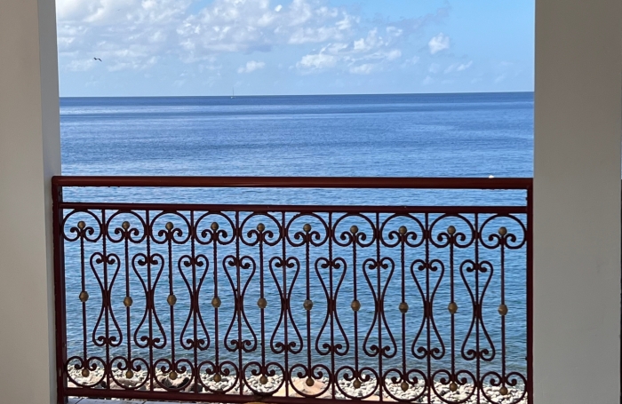 Vente Maison 503m&sup2; 10 pièces Gourbeyre