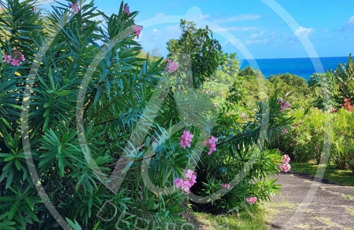 Location Maison 180m&sup2; 5 pièces Vieux Fort