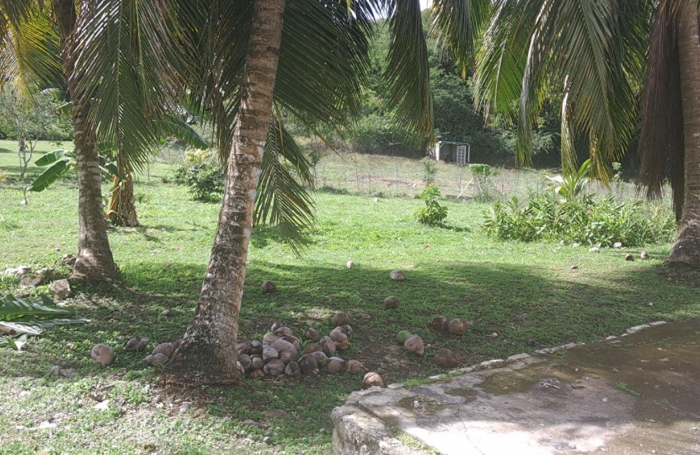 Vente Maison 184m&sup2; 7 pièces Grand Bourg