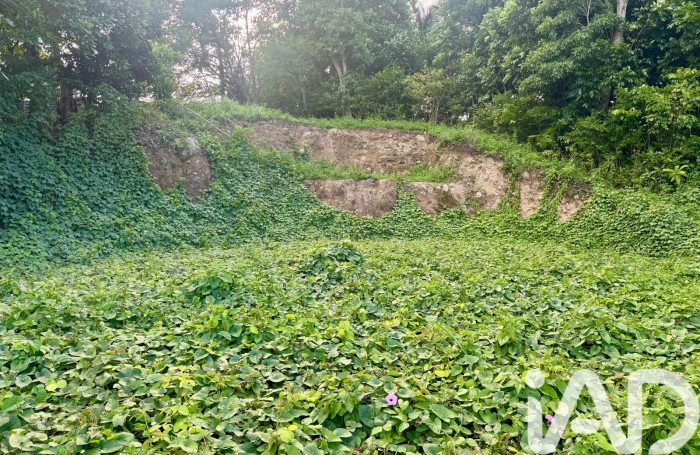 Vente Terrain 819m&sup2; Les Abymes
