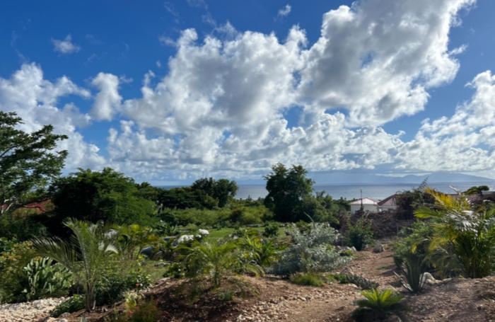 &Agrave; VENDRE MAGNIFIQUE TERRAIN VUE MER 1611 M2 &Agrave; MARIE-GALANTE