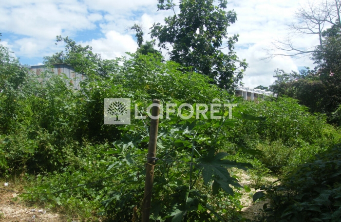 Vente Terrain 237m&sup2; Pointe-&agrave;-Pitre