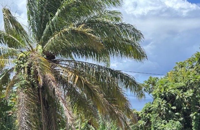 Vente Maison 177m&sup2; 6 pièces Trois Rivi&egrave;res