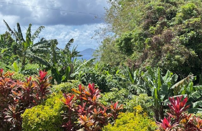 Vente Maison 177m&sup2; 6 pièces Trois Rivi&egrave;res