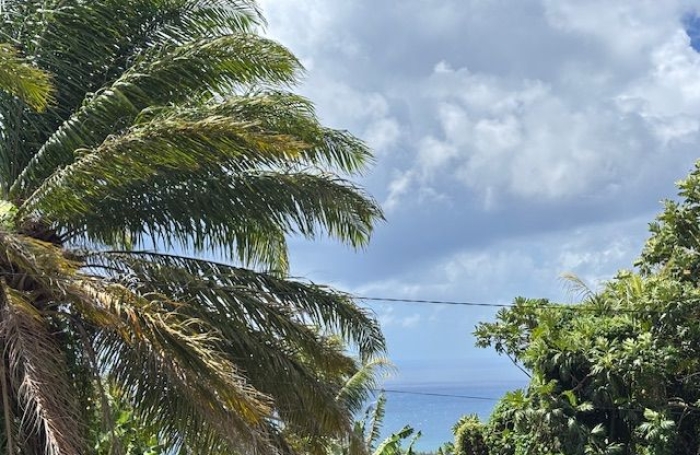 Vente Maison 177m&sup2; 6 pièces Trois Rivi&egrave;res