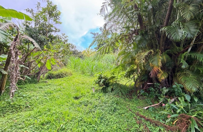 Vente Maison 168.78m&sup2; 4 pièces Saint Claude