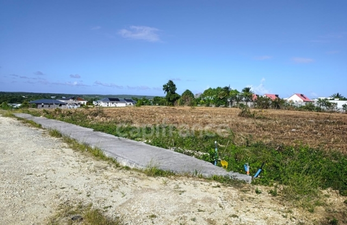 Vente Terrain 500m&sup2; Anse-Bertrand