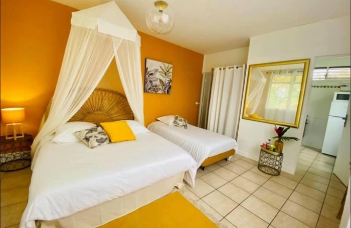 Vente Immeuble 500m&sup2; 11 pièces Sainte Anne