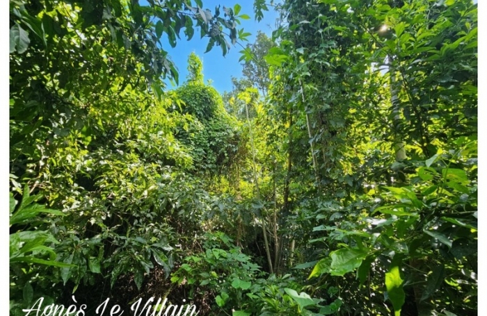 Vente Terrain 1041m&sup2; Pointe-Noire