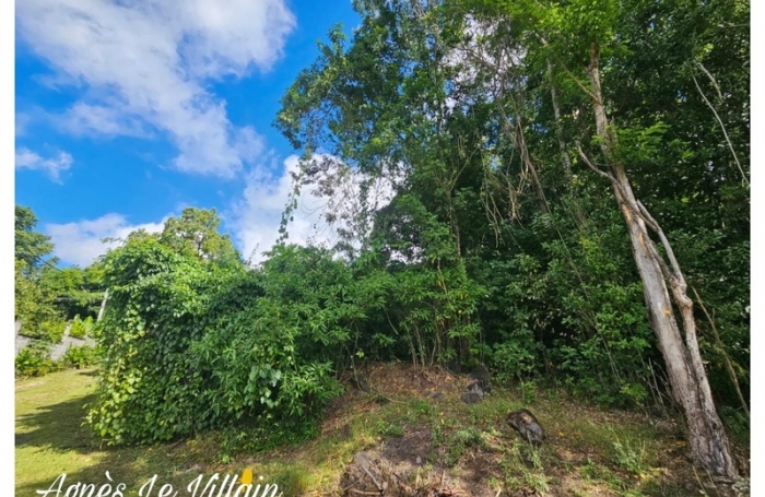 Vente Terrain 1041m&sup2; Pointe-Noire