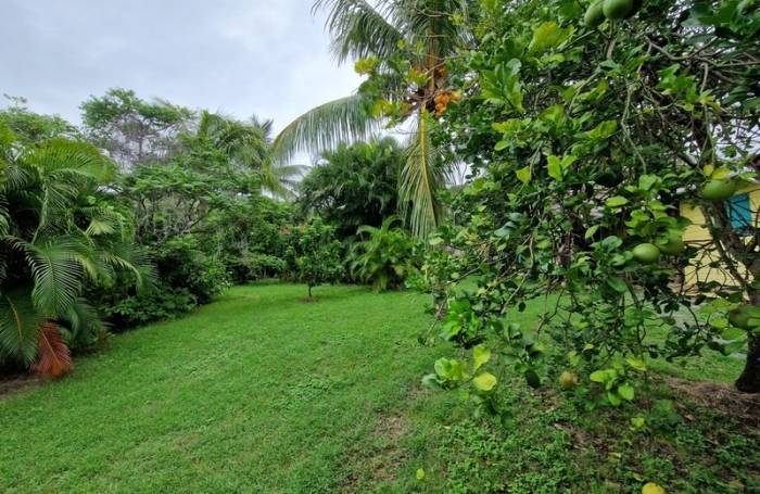 Vente Maison 340m&sup2; 8 pièces Deshaies