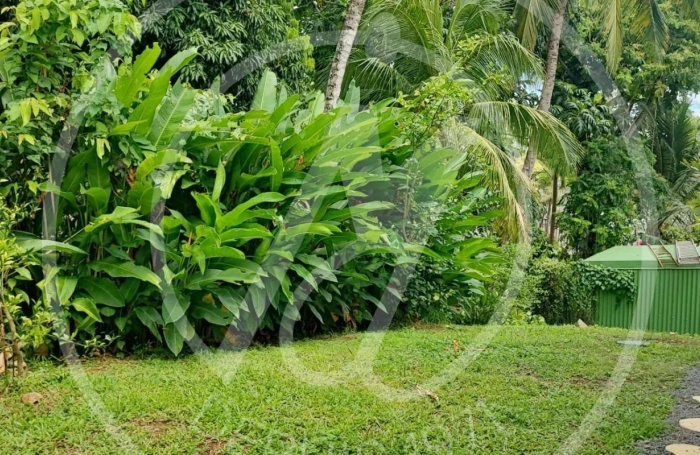 Location Appartement 60m&sup2; 3 pièces Petit-Bourg