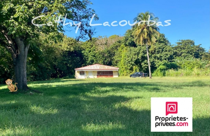 Vente Terrain 10000m&sup2; Pointe-Noire