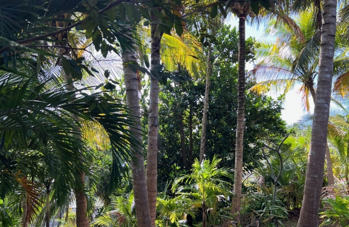 Vente Maison 194m&sup2; 9 pièces Morne &agrave; l'eau