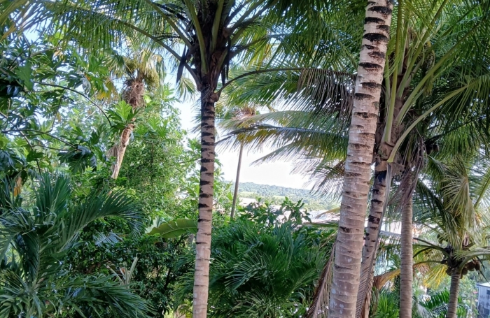 Vente Maison 194m&sup2; 9 pièces Morne &agrave; l'eau