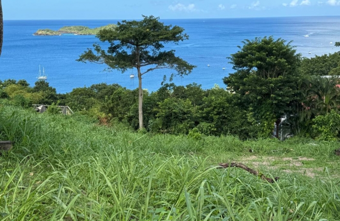 Vente Terrain 1326m&sup2; Bouillante